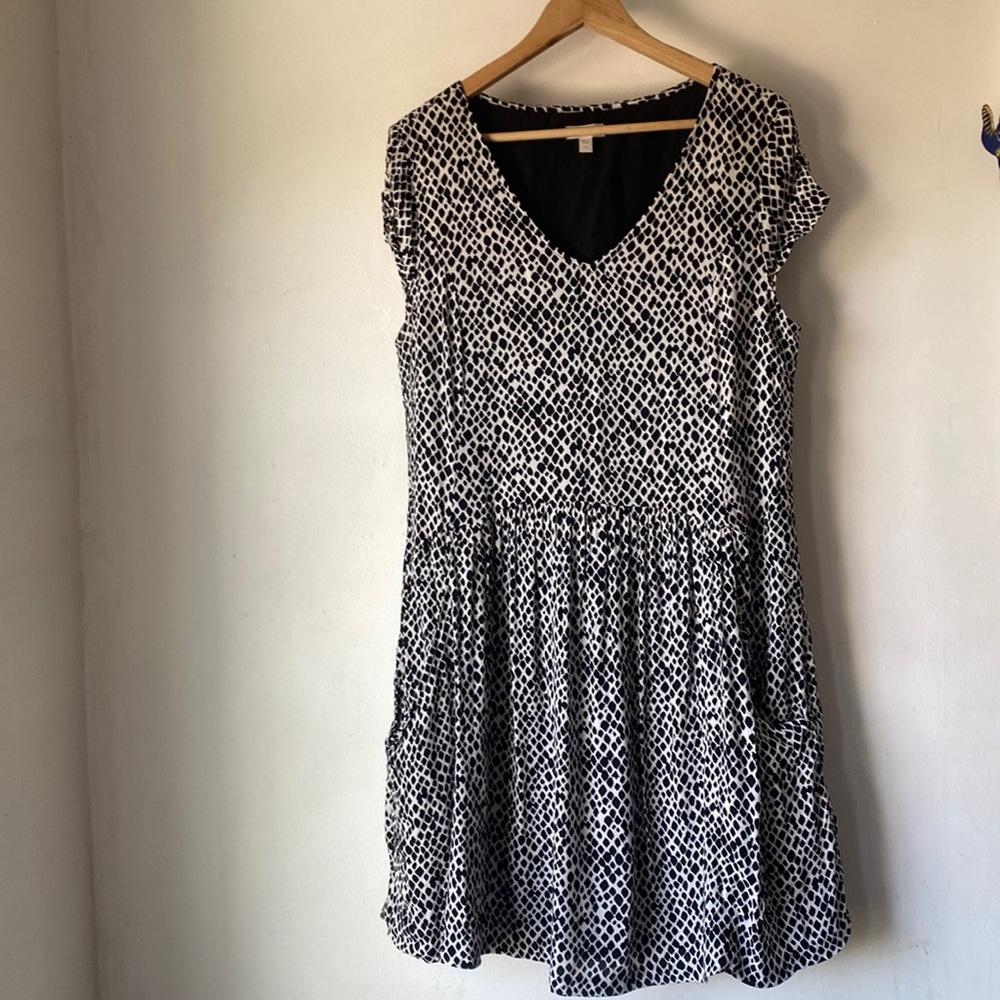 Garnet Hill 12 Summer Day Drop Waist Dress